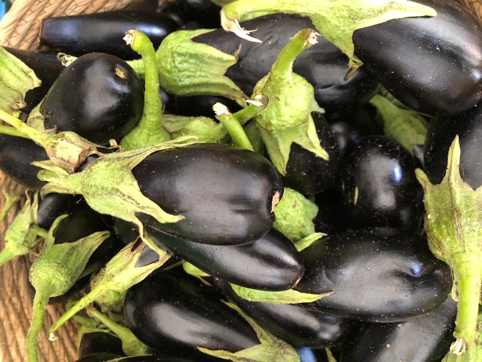 WhatsApp Image 2020-07-29 at 11.16.50 AM (1).jpeg.jpeg